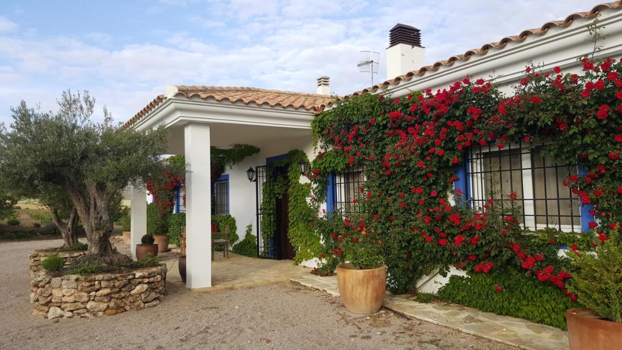 Finca El Romeral Alpera Esterno foto