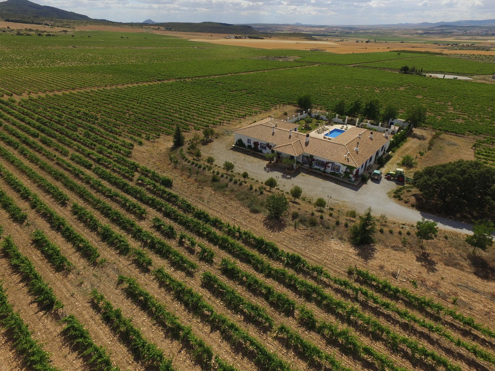 Finca El Romeral Alpera Esterno foto