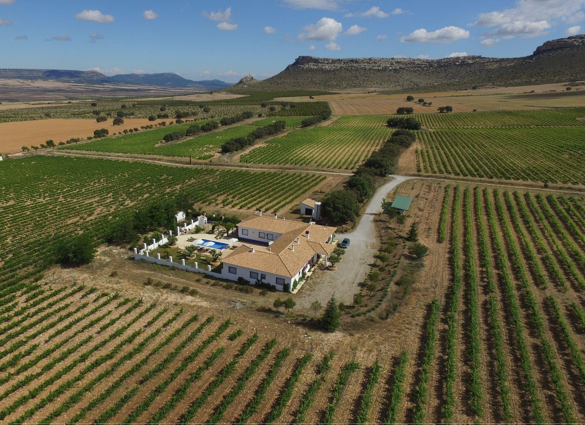 Finca El Romeral Alpera Esterno foto
