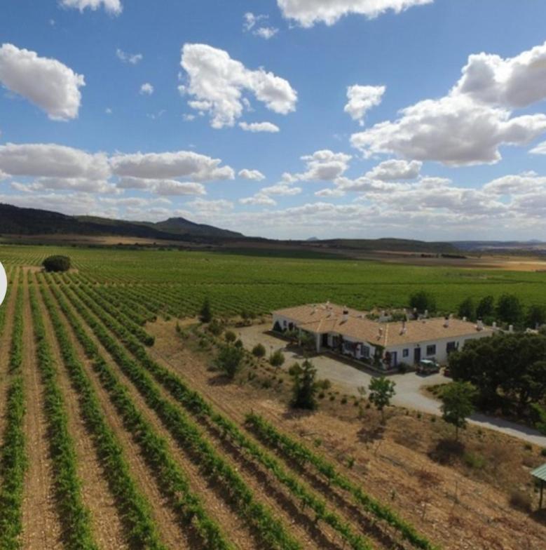 Finca El Romeral Alpera Esterno foto