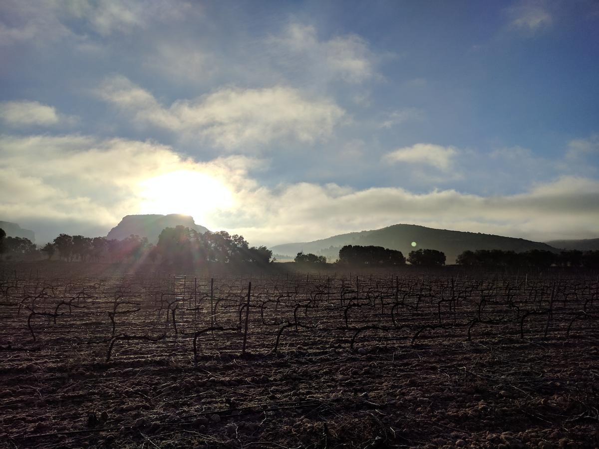 Finca El Romeral Alpera Esterno foto
