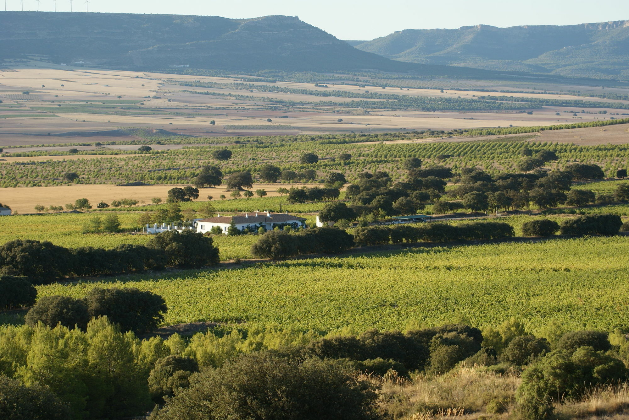 Finca El Romeral Alpera Esterno foto