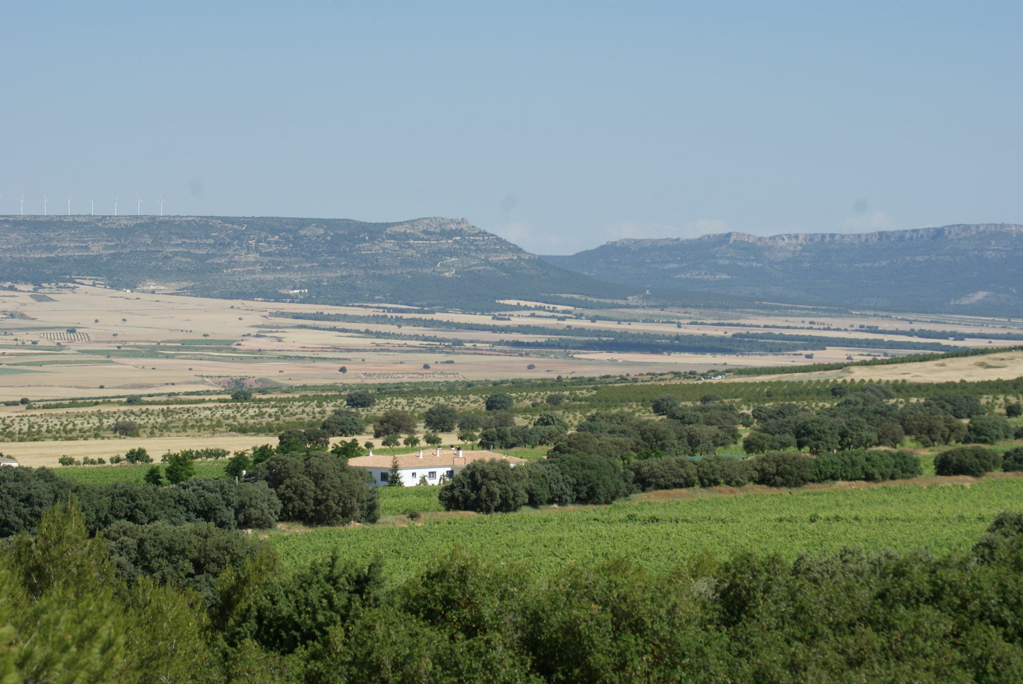Finca El Romeral Alpera Esterno foto