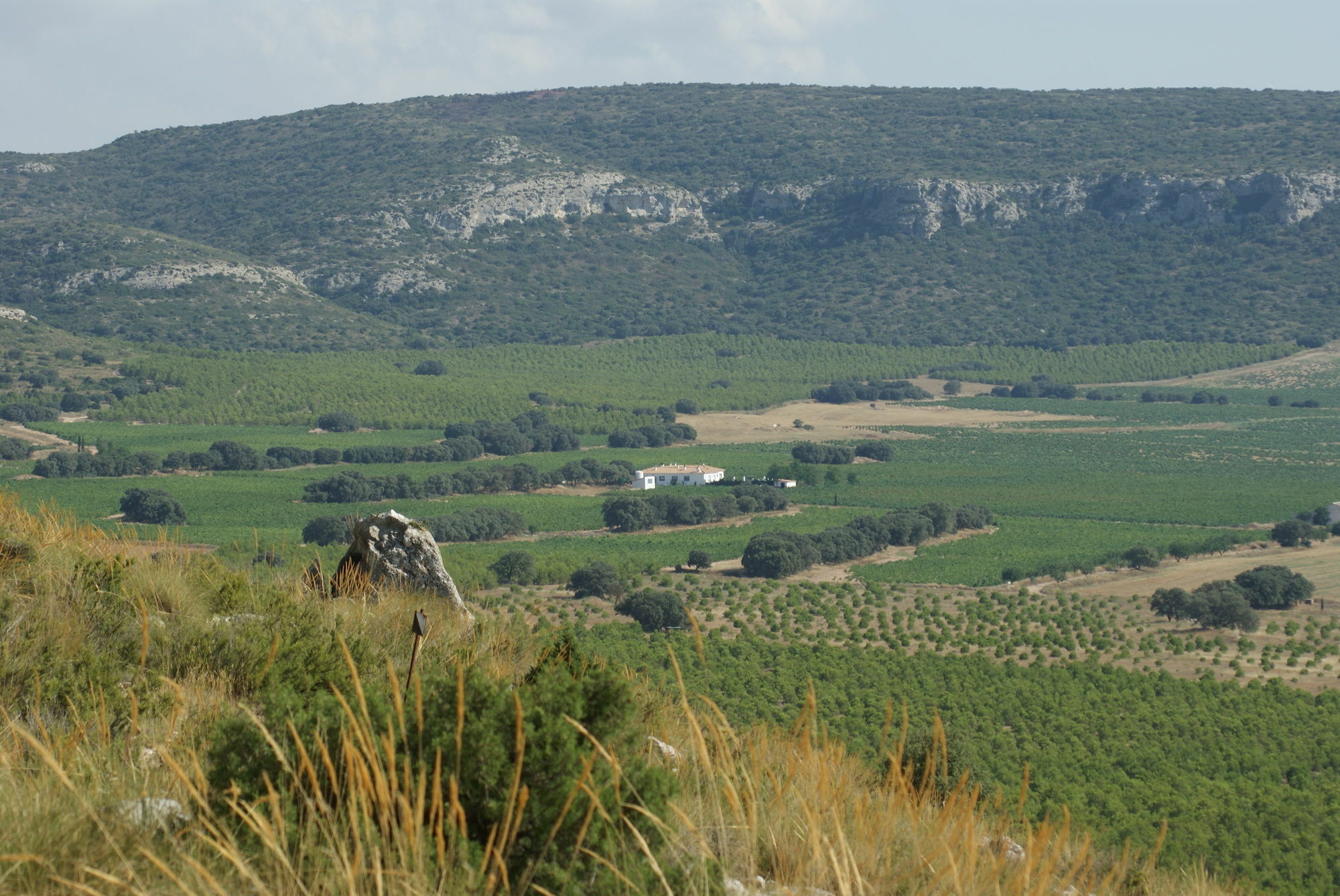 Finca El Romeral Alpera Esterno foto