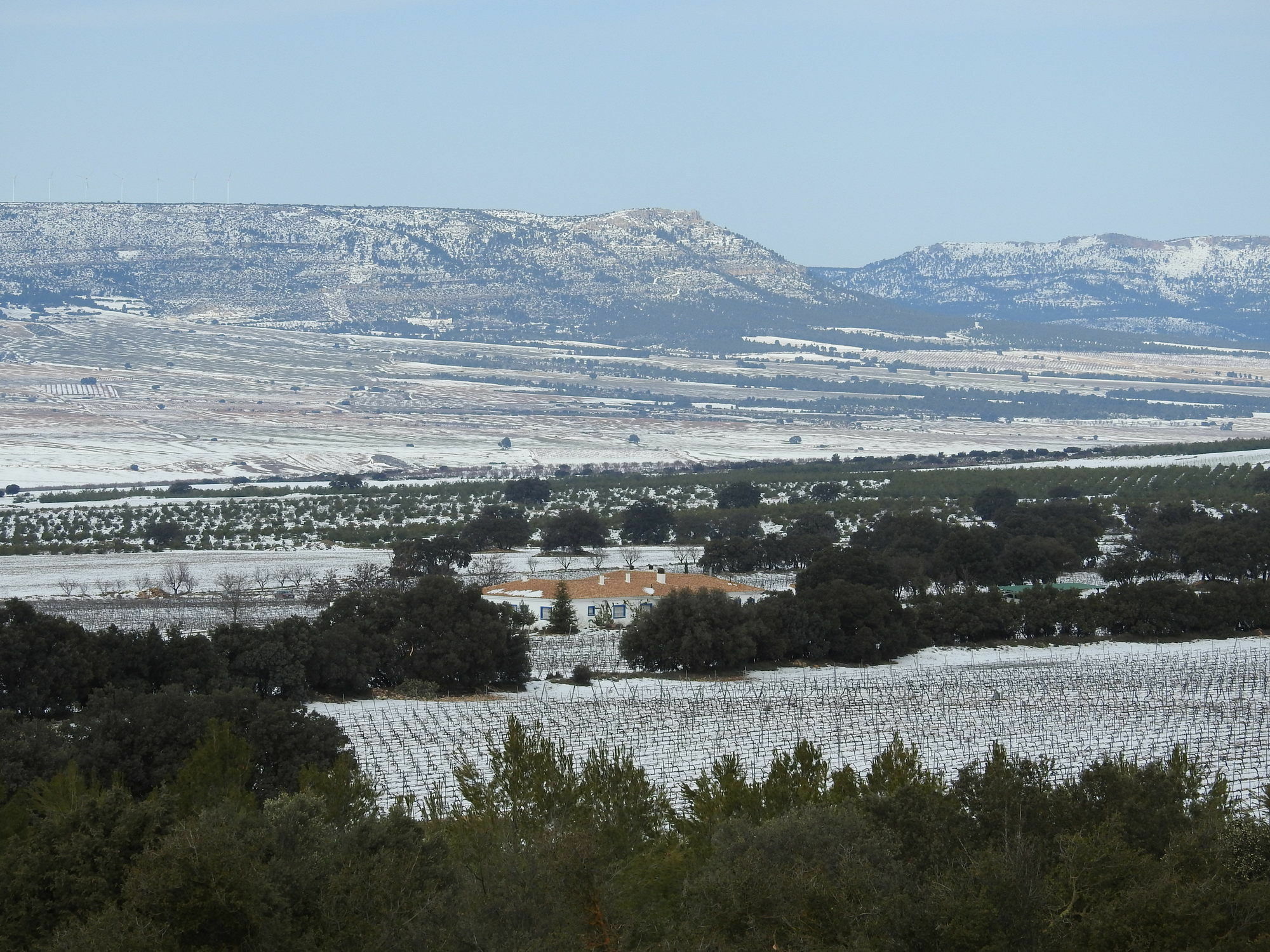 Finca El Romeral Alpera Esterno foto